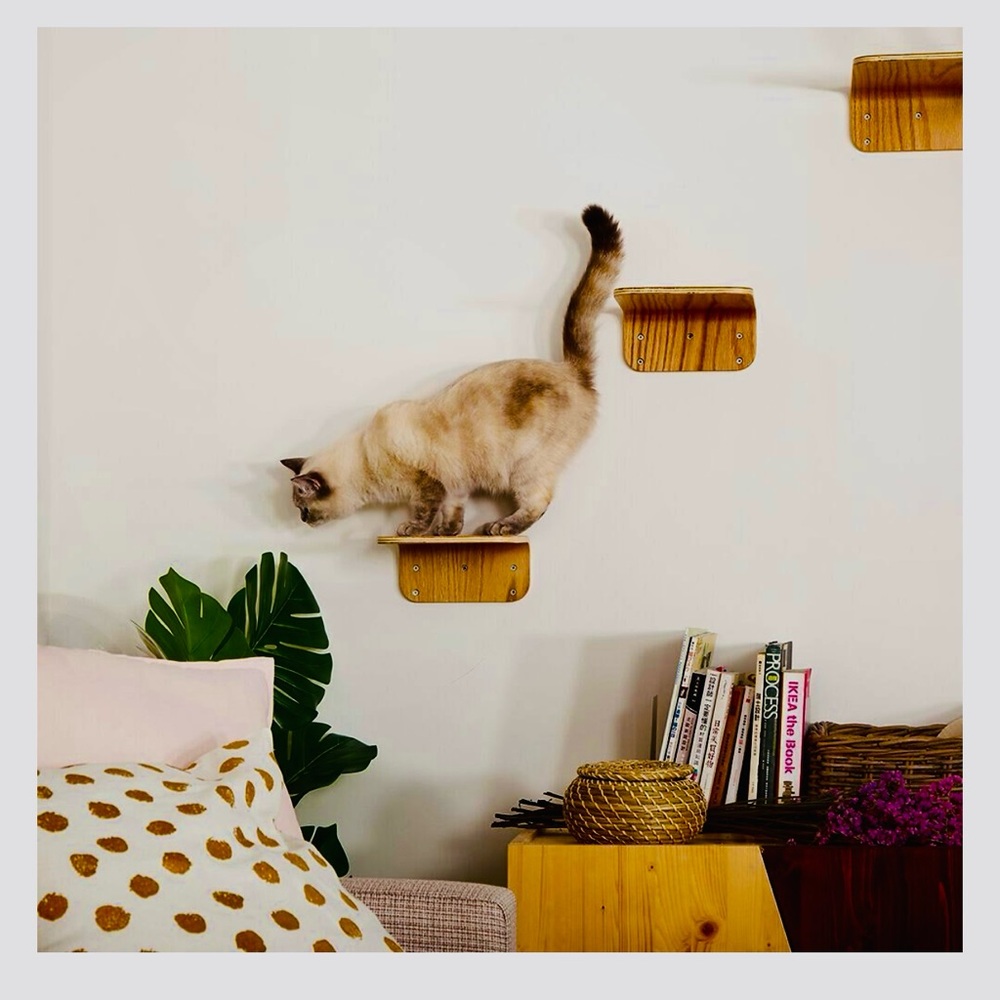 Wall mounted cat shelves - Picture 2 of 7